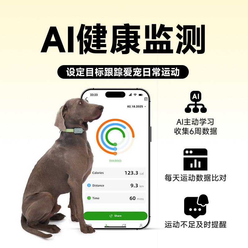 PetPhone宠物手机