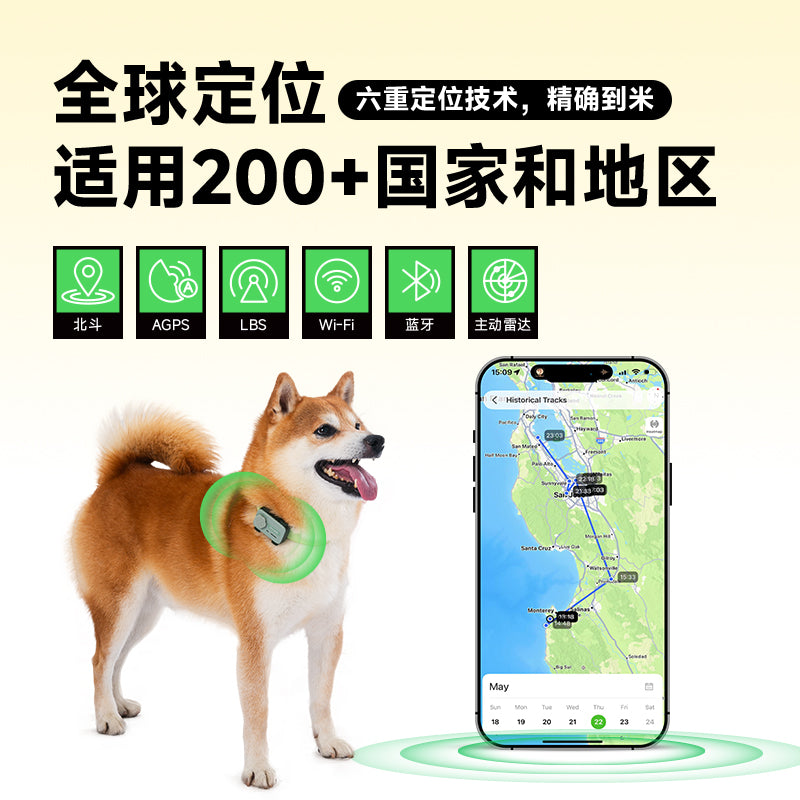 PetPhone宠物手机